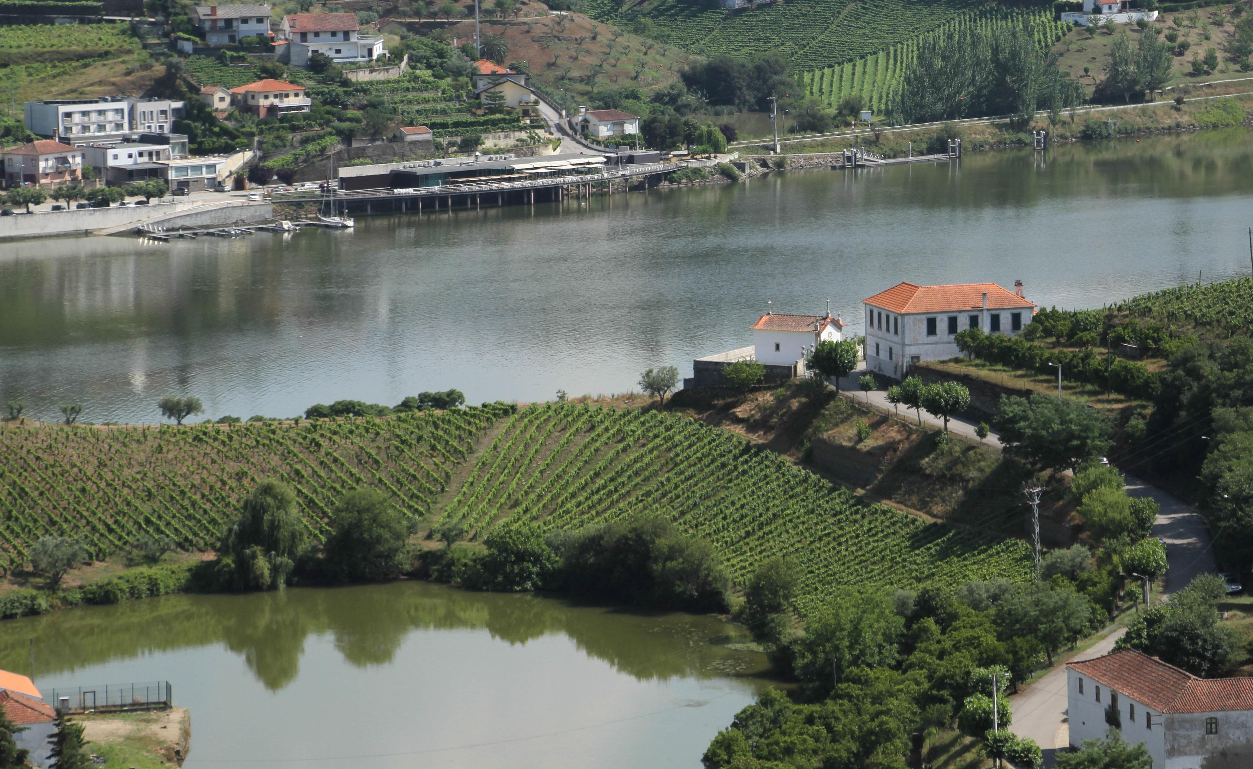 Hotel Folgosa Douro อาร์มามาร์ ภายนอก รูปภาพ